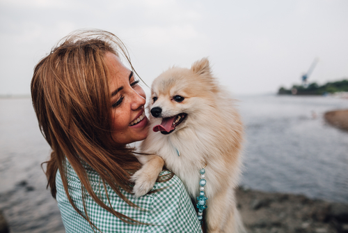 What Happens When Dogs Have Cataracts What Happens When Dogs Have Cataracts