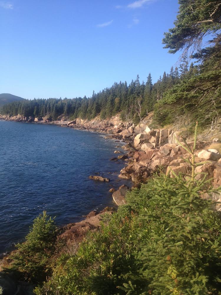 13th Annual Downeast Ophthalmology Symposium, Bar Harbor, Maine
